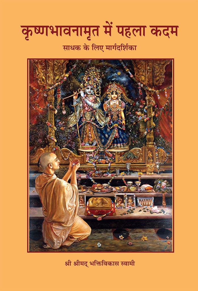 Beginner's Guide  : Hindi