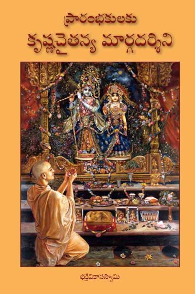 Beginner's Guide : Telugu